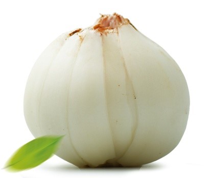 百合.jpg