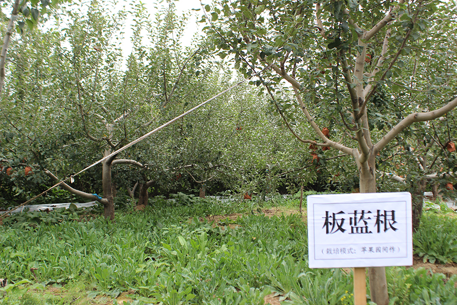 照片 524.jpg