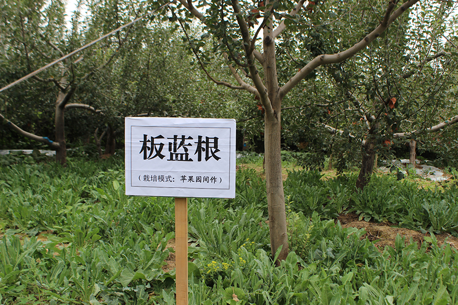 照片 522.jpg